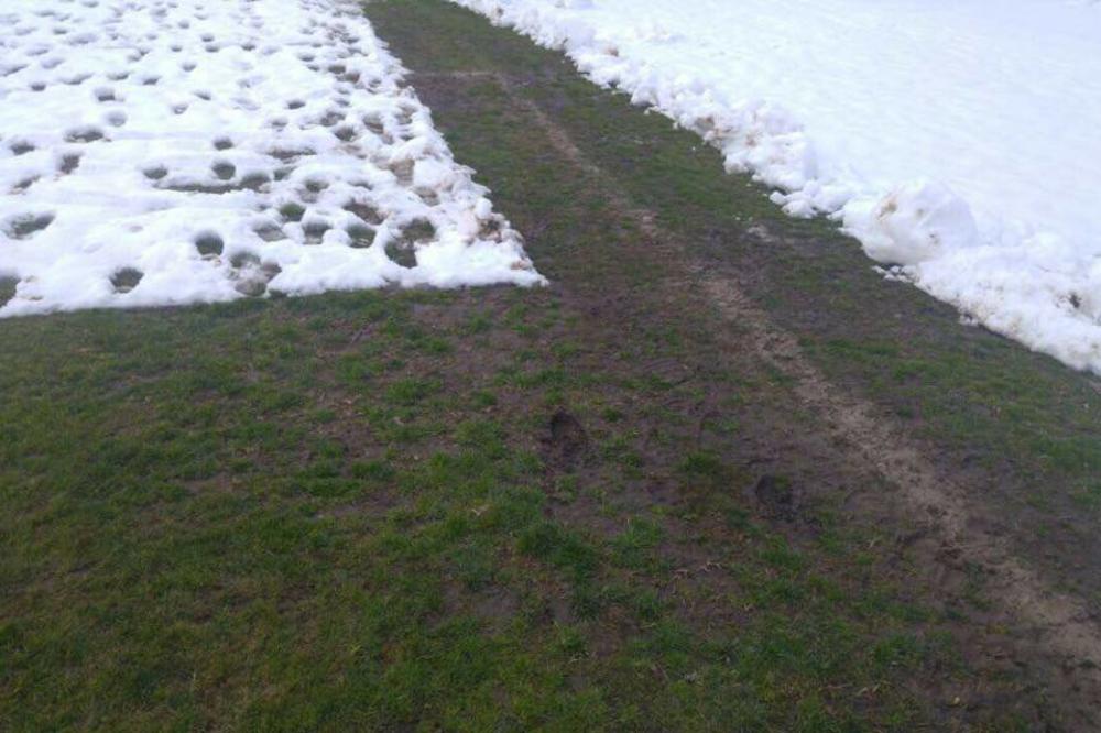 LJUDI IZ ZVEZDE I SPARTAKA IZAŠLI NA TEREN U SUBOTICI! Evo da li će meč biti odigran u predviđenom terminu! (VIDEO)