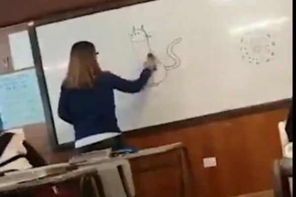 UČITELJICE, SRAM TE BILO, ŠTA SI TO NACRTALA: Kako su joj samo klinci smestili! (VIDEO)