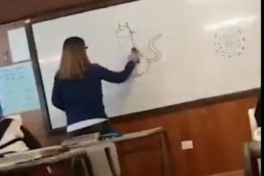UČITELJICE, SRAM TE BILO, ŠTA SI TO NACRTALA: Kako su joj samo klinci smestili! (VIDEO)