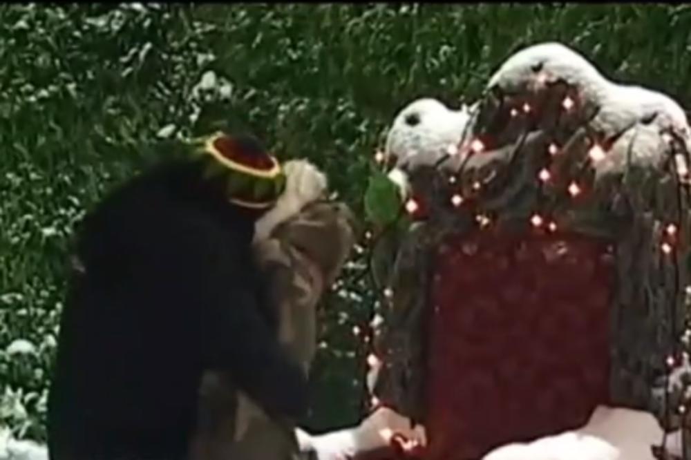 ZGRABIO JU JE I POLJUBIO U USTA: Kija pala u zagrljaj zadrugaru, a nisu ni Filip ni Sloba! Nećete verovati ko je u pitanju (VIDEO)