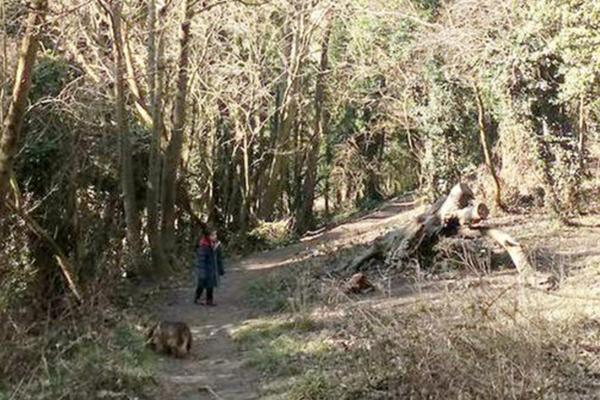 FOTOGRAFISALA ĆERKU U ŠUMI: Onda je primetila DETALJ koji je potpuno PRESTRAVIO! (FOTO)