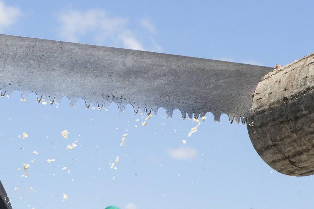 ZATRAŽIO JE OD BERAČA BANANA DA MU ODSEČE NOGU: Tu nije bio kraj MORBIDNOSTIMA! Dogodio se još veći ŠOK!