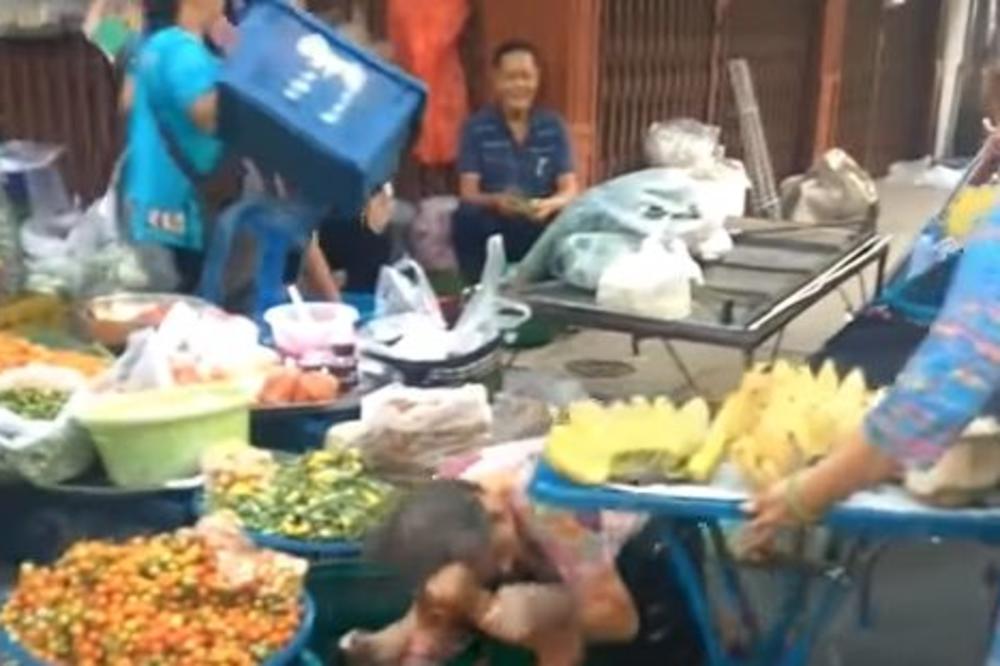 TUČA NA PIJACI, ČUPANJE I VRISKA NA SVE STRANE! Pogledajte kako se šibaju ove dve gospođe! (VIDEO)