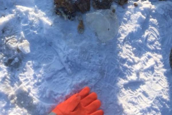 NEKO IH JE ODSEKAO, PA BACIO U SNEG: Na istoku Rusije JEZIVO OTKRIĆE izazvalo paniku! (UZNEMIRUJUĆA FOTOGRAFIJA)