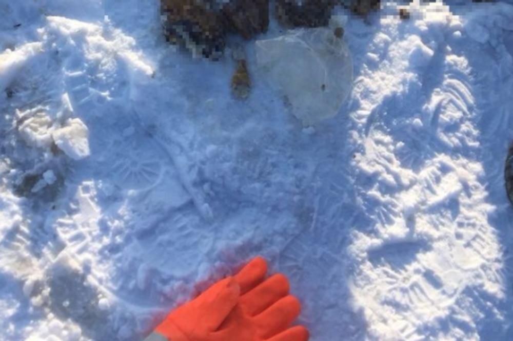 NEKO IH JE ODSEKAO, PA BACIO U SNEG: Na istoku Rusije JEZIVO OTKRIĆE izazvalo paniku! (UZNEMIRUJUĆA FOTOGRAFIJA)