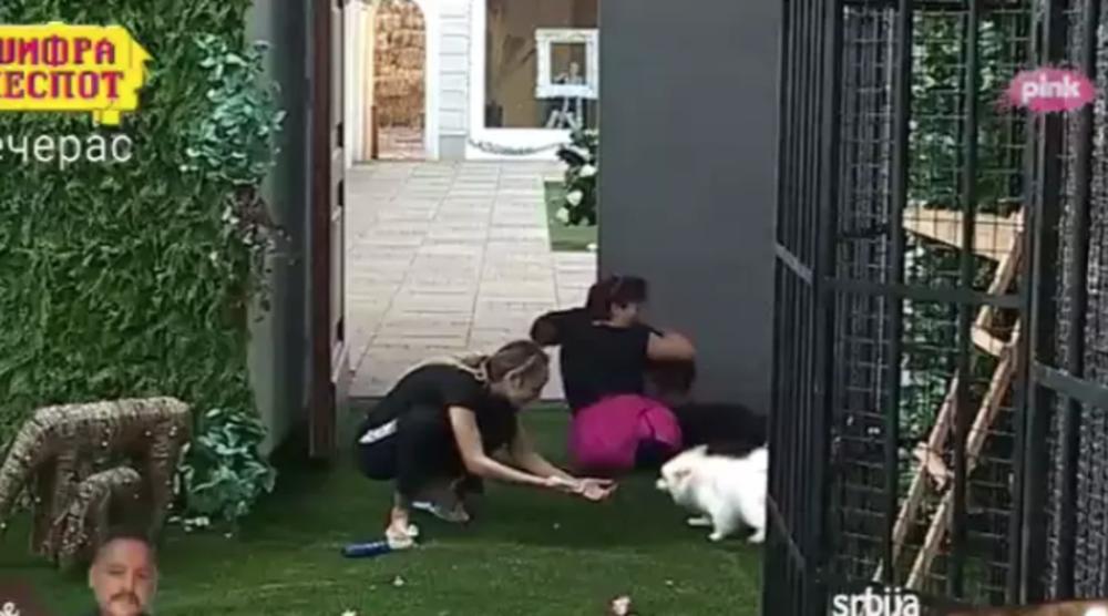 Luni i Tanji su doveli njihove kućne ljubimce 