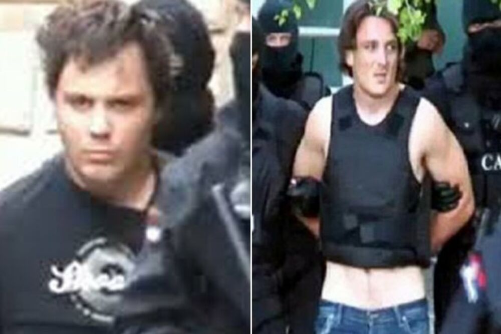 Braća Simović, Zemunski klan