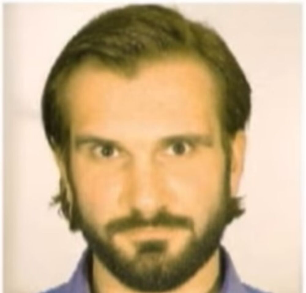 Vladimir Milisavljević, Zemunski klan, Organizovani kriminal