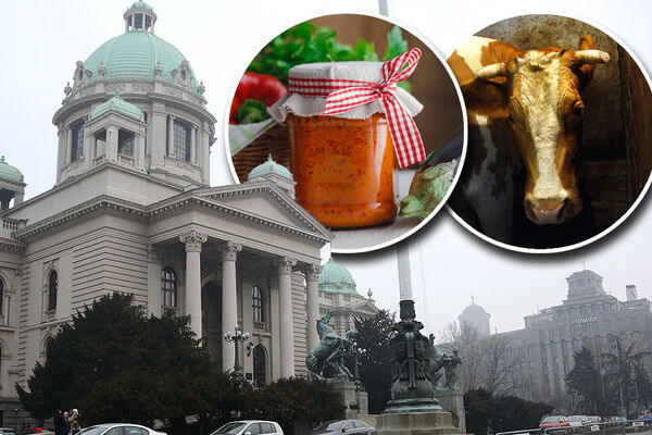 UMESTO O PROBLEMIMA OBIČNOG NARODA, POSLANICI U SKUPŠTINI PRIČAJU O BESNIM KRAVAMA I O TOME KAKO SE PRAVI AJVAR! Da li je ovo dokaz da je parlament izgubio svaki smisao?