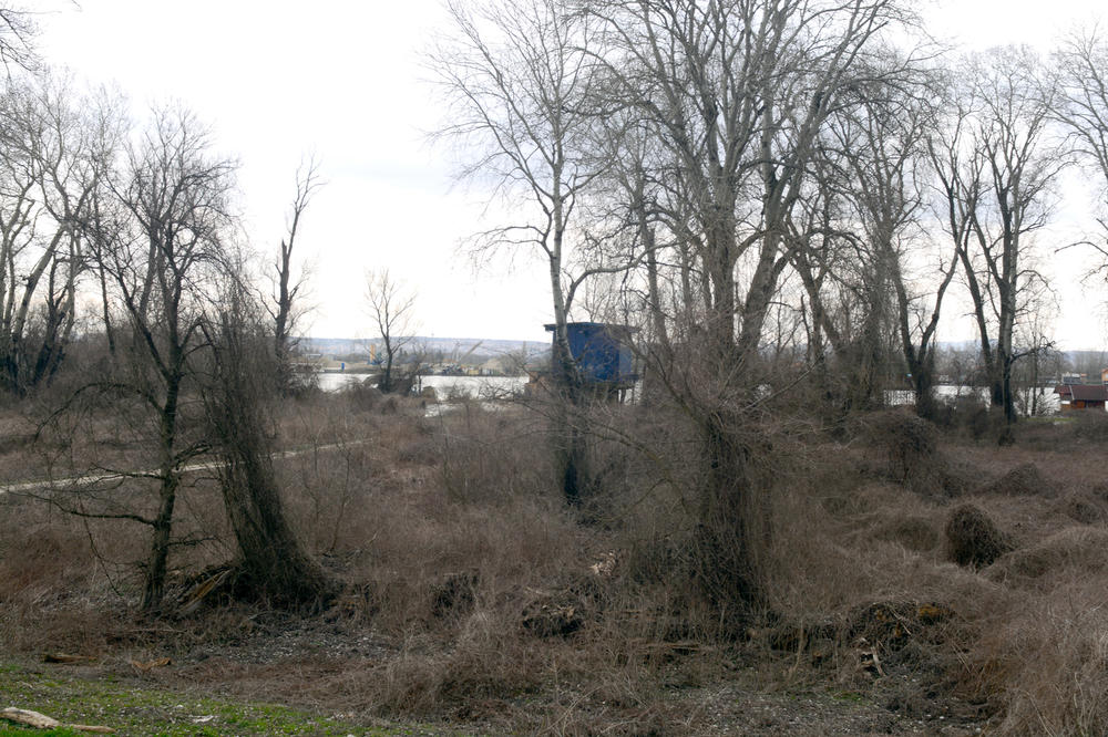INSPEKCIJA ZATVORILA GRADILIŠTA LJUBIŠE BUHE ČUMETA NA SAVSKOM NASIPU: Sledi reakcija tužilaštva!