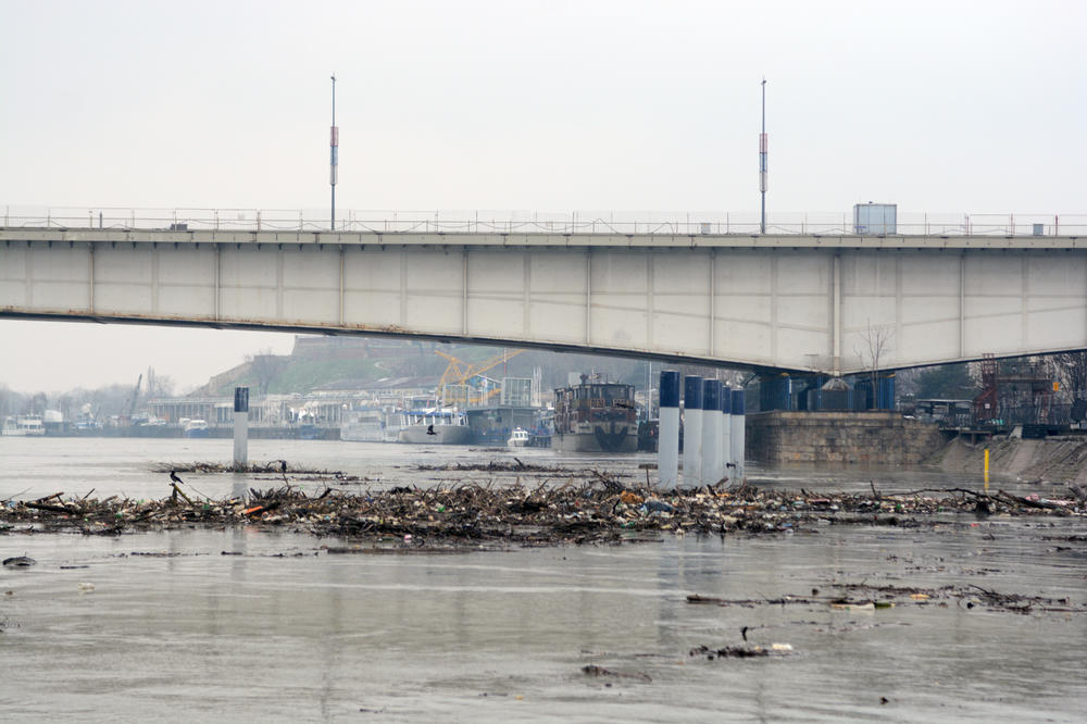 AKCIJA ČIŠĆENJA SAVSKOG ŠETALIŠTA JE POČELA! Ministarka o glavnom cilju akcije i DIVLJIM DEPONIJAMA!