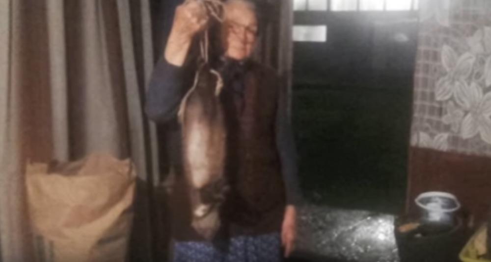 Sama se izborila sa štetočinom 