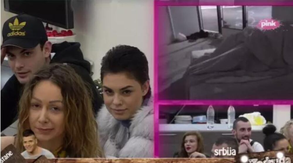 Mina i Toma redovno konzumiraju svoju ljubav u rijalitiju  