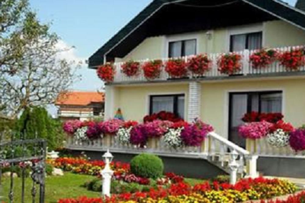 NEVEROVATNA INFUZIJA ZA CVEĆE: Oporavlja, pospešuje rast biljaka, a pravi se od samo 2 SASTOJKA!