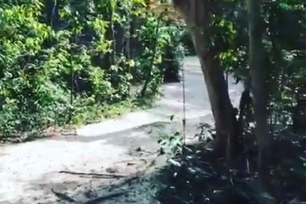 ZEN SRBIN: Nole se povezuje sa unutrašnjim Noletom i prirodom pred veliki izazov u Majamiju! (VIDEO)