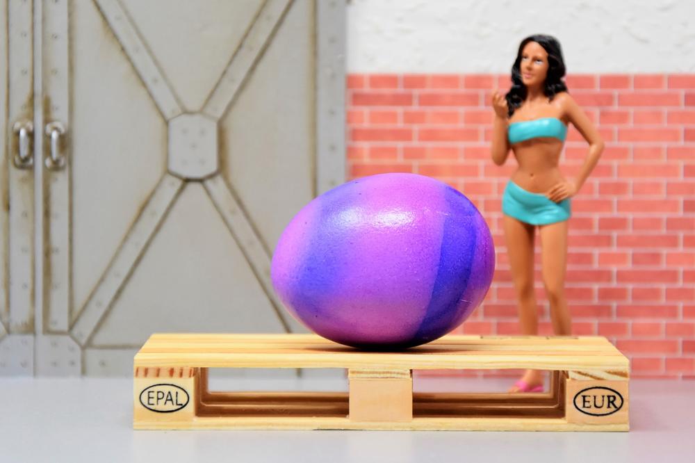 Asocijacija NKSS zahteva ostavku gradske sekretarke za kulturu i poništavanje konkursa za kulturu!