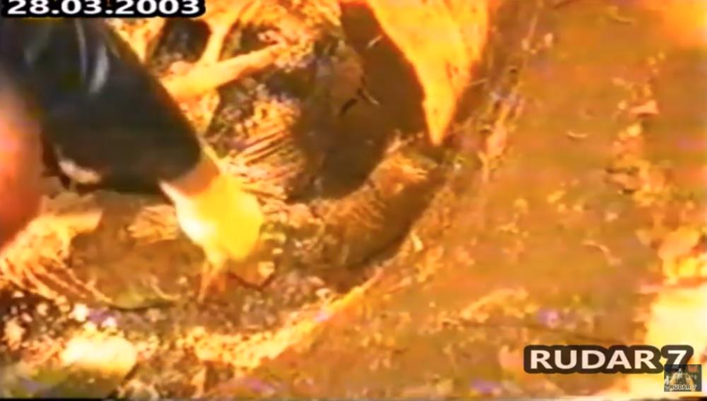 Telo Ivana Stambolića izvučeno iz kreča  