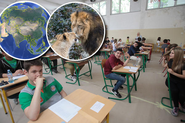 LAVOVI ŽIVE U PRAŠUMAMA, AZIJA JE OKRUŽENA S 4 OKEANA: Koje sve još gluposti naša deca uče u školi? (VIDEO)