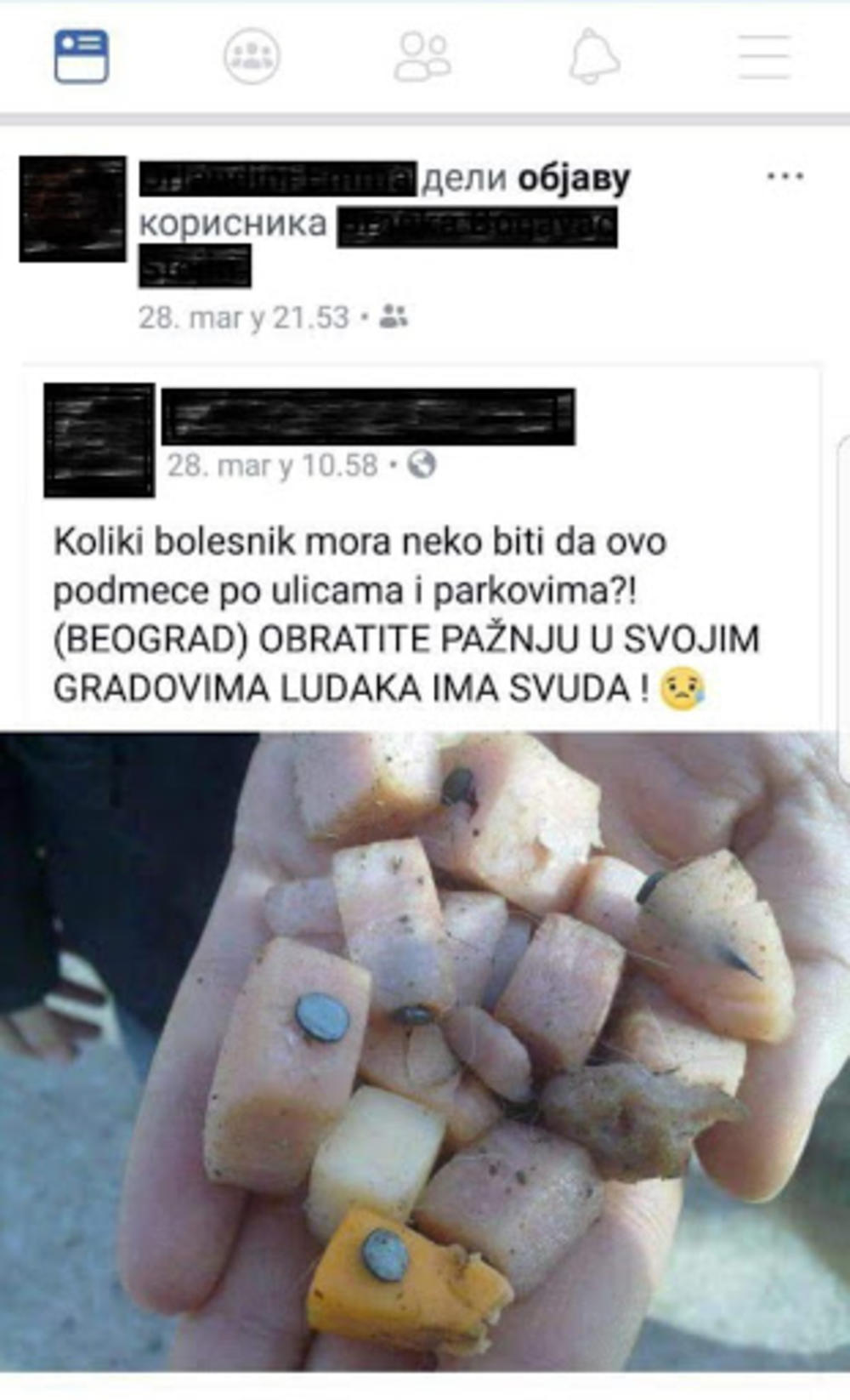 U beogradu pronađena je hrana za pse u koju su zabijeni ekseri 