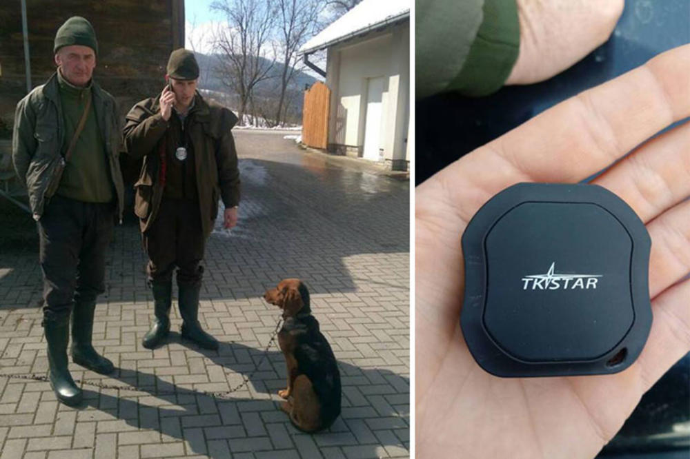 PAS PRODAO GAZDU! Hit priča iz lovišta! Doveo je svog vlasnika pravo do POLICIJE!