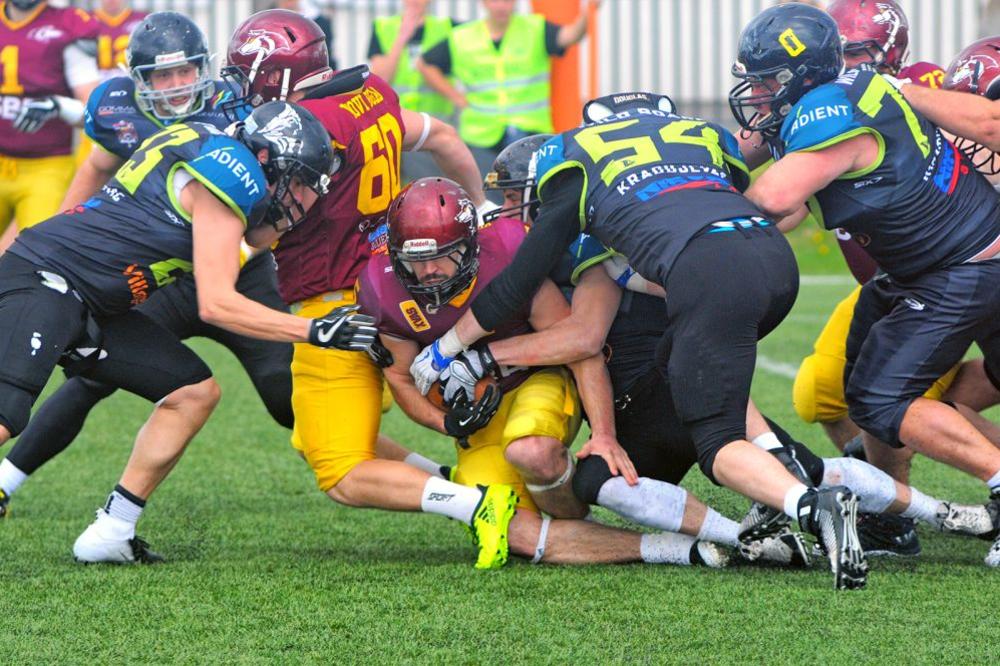 BILO JE MALO NEIZVESNOSTI, ALI JE ŠAMPION OSTAO ISTI: Vukovi su opet najbolji u Srbiji!