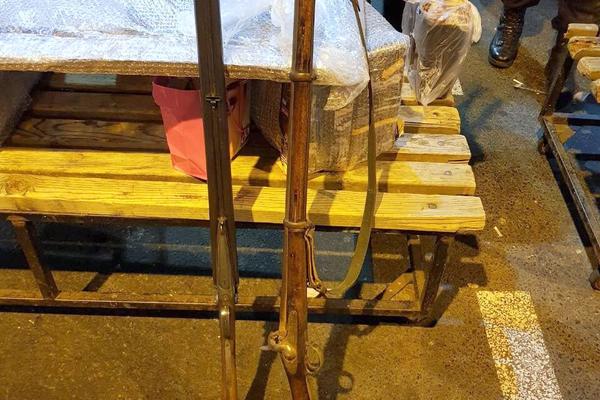 SRPSKI CARINICI NISU MOGLI OČIMA DA VERUJU: Mislili su da se neko ŠALI SA NJIMA