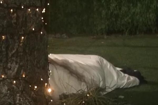 OVO NIKAD DOSAD NISMO VIDELI U ZADRUZI: Otišli u Rajski vrt, pa imali VRELU AKCIJU ispred Drveta mudrosti (VIDEO)