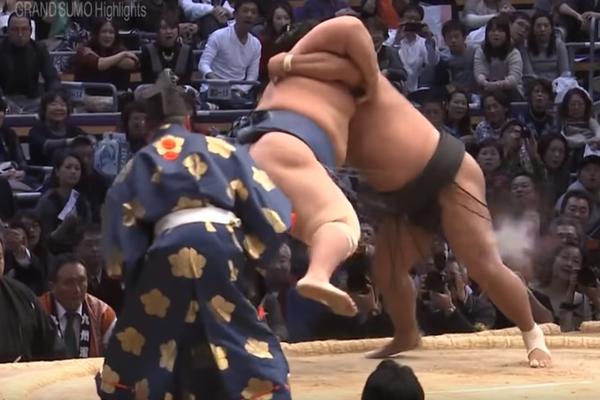 KAKO SE SUMO RVAČI UGOJE? Iako su Japanci sitne građe uspevaju da dostignu težinu i do 300 kilograma!