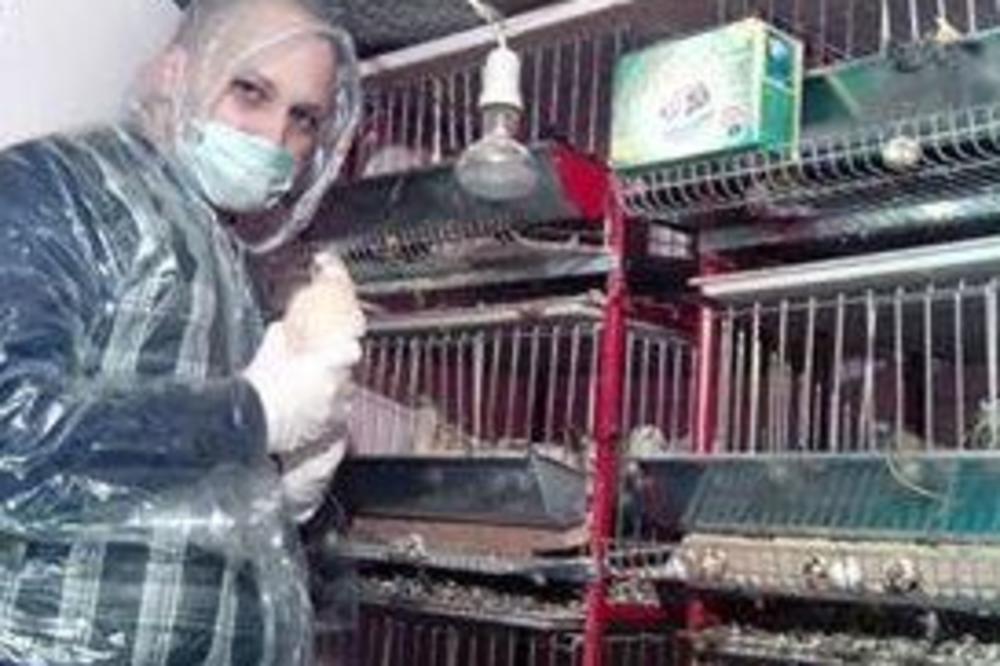 Nikola želi da postane najveći proizvođač jaja na Balkanu: Otišao je iz Beograda i započeo biznis koji se isplati za 6 meseci (FOTO)