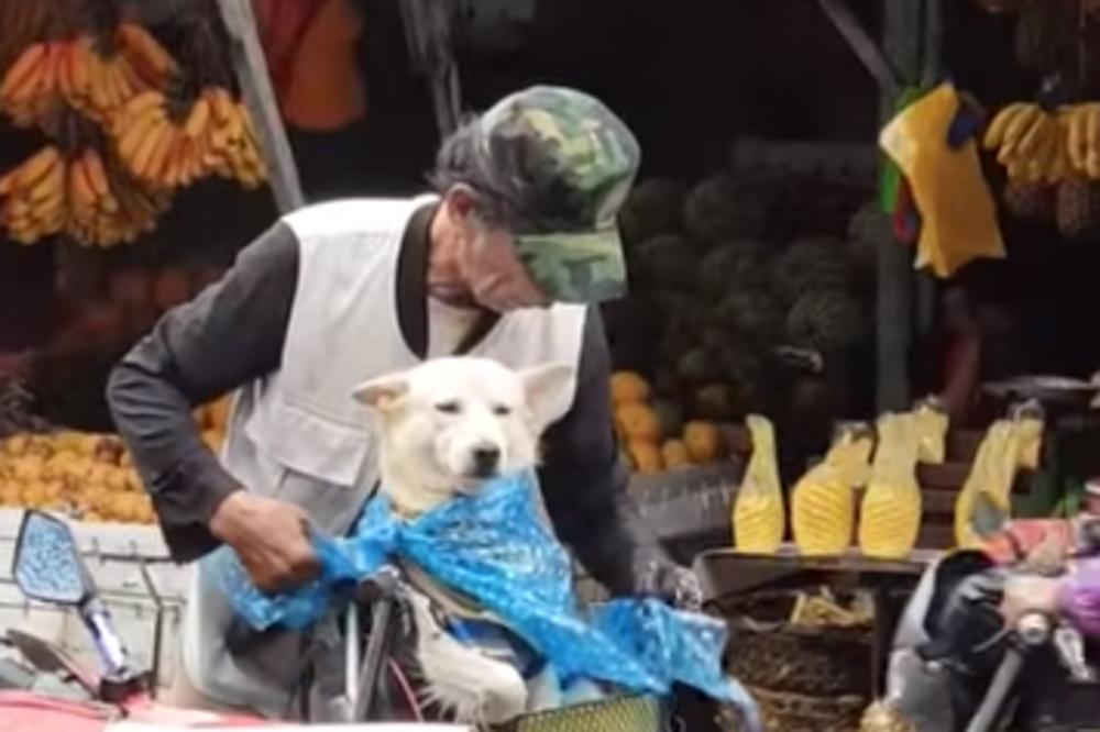 ŠEŠIROM I MARAMOM ZAŠTITIO PSA DA NE POKISNE: Ovako brižni vlasnik brine o svom ljubimcu (VIDEO)