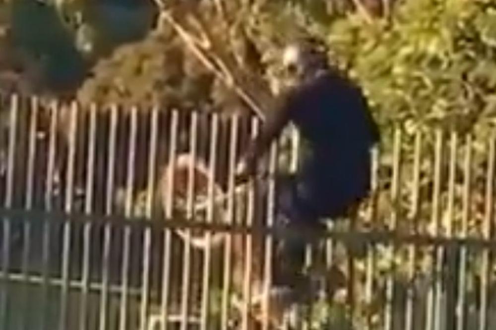 OVO JE TOLIKO STRAŠNO DA NE SMEMO DA GLEDAMO OPET: Za ovog čoveka je malo reći DA JE LUD! (VIDEO)