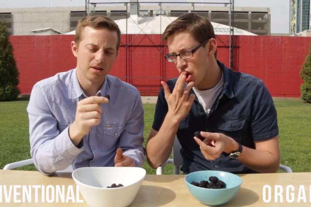 MNOGI SU U ZABLUDI: Nije cena, ovo je glavna razlika između ORGANSKE i NEORGANSKE hrane (VIDEO)