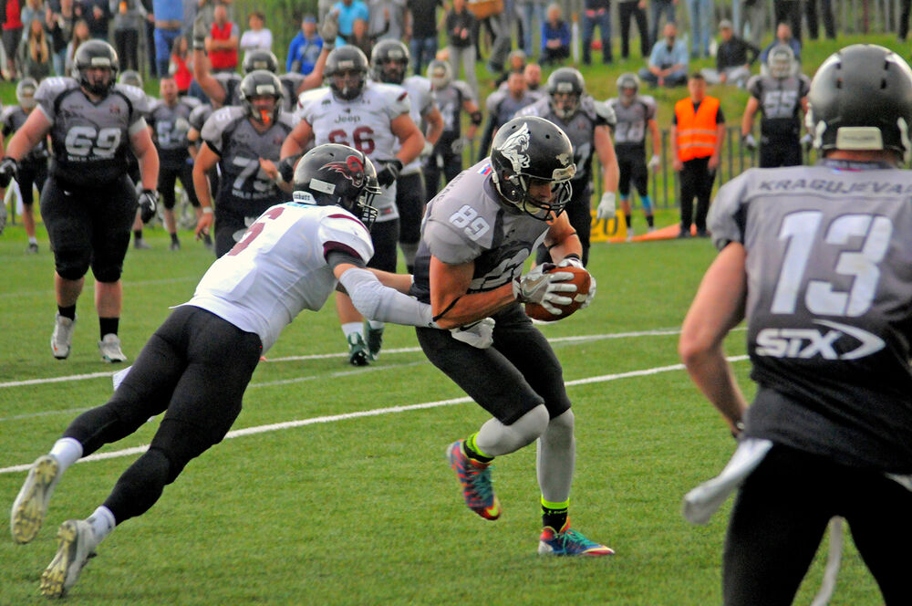 Kragujevac Wild Boars  