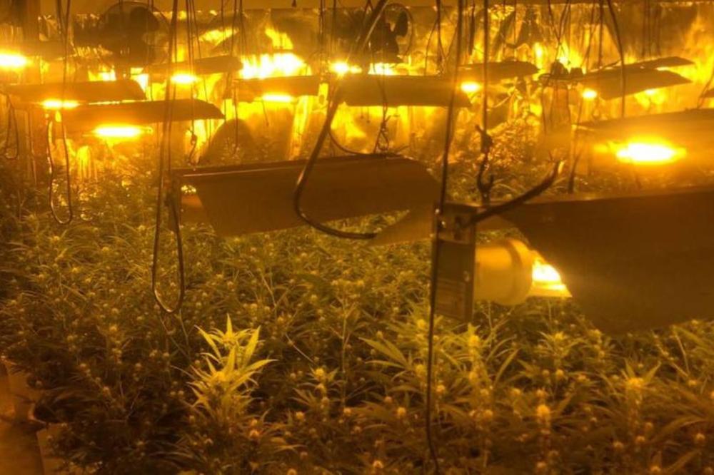 PALO 8 DILERA I ZAPLENJENO 2,5 TONA MARIHUANE: Velika akcija srpske i španske policije! (VIDEO)