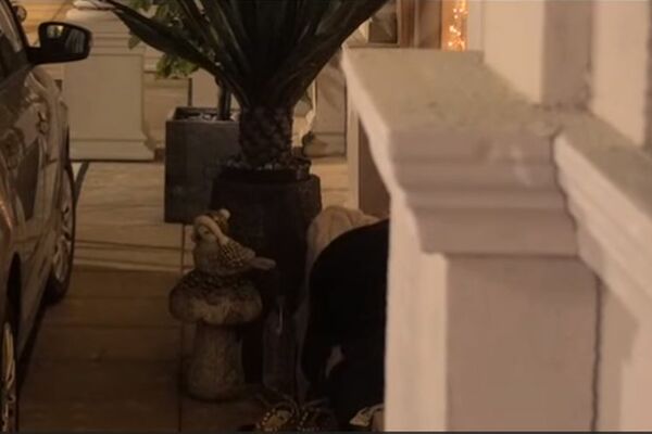 MATORA ODVELA SANJU U ŠTEK JAČI OD MIKIJEVOG: A tamo su radile nešto što NIKO NIJE OČEKIVAO! (VIDEO)