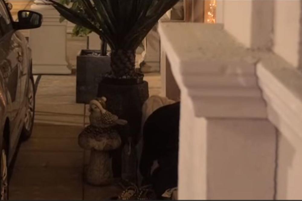 MATORA ODVELA SANJU U ŠTEK JAČI OD MIKIJEVOG: A tamo su radile nešto što NIKO NIJE OČEKIVAO! (VIDEO)