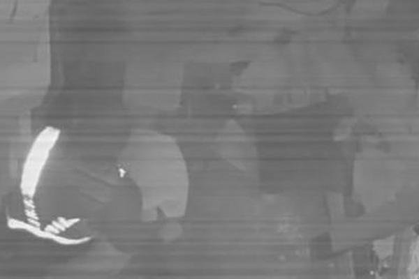 NIKAD SE NIŠTA SLIČNO NIJE DESILO NI U JEDNOM RIJALITIJU: Obezbeđenje ih prekinulo usred AKCIJE i nećete verovati zbog čega (VIDEO)