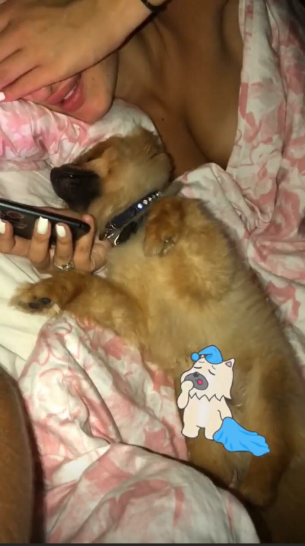 Ana Cakić devojka Predraga Rajkovića