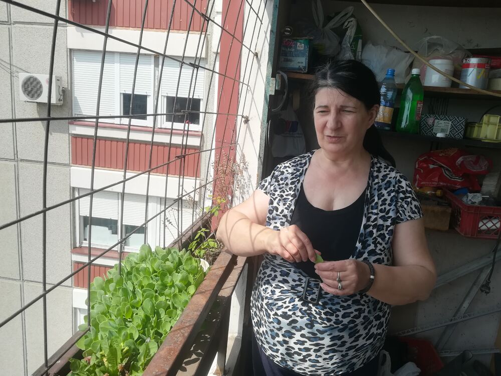  Očajna porodica Arambašić