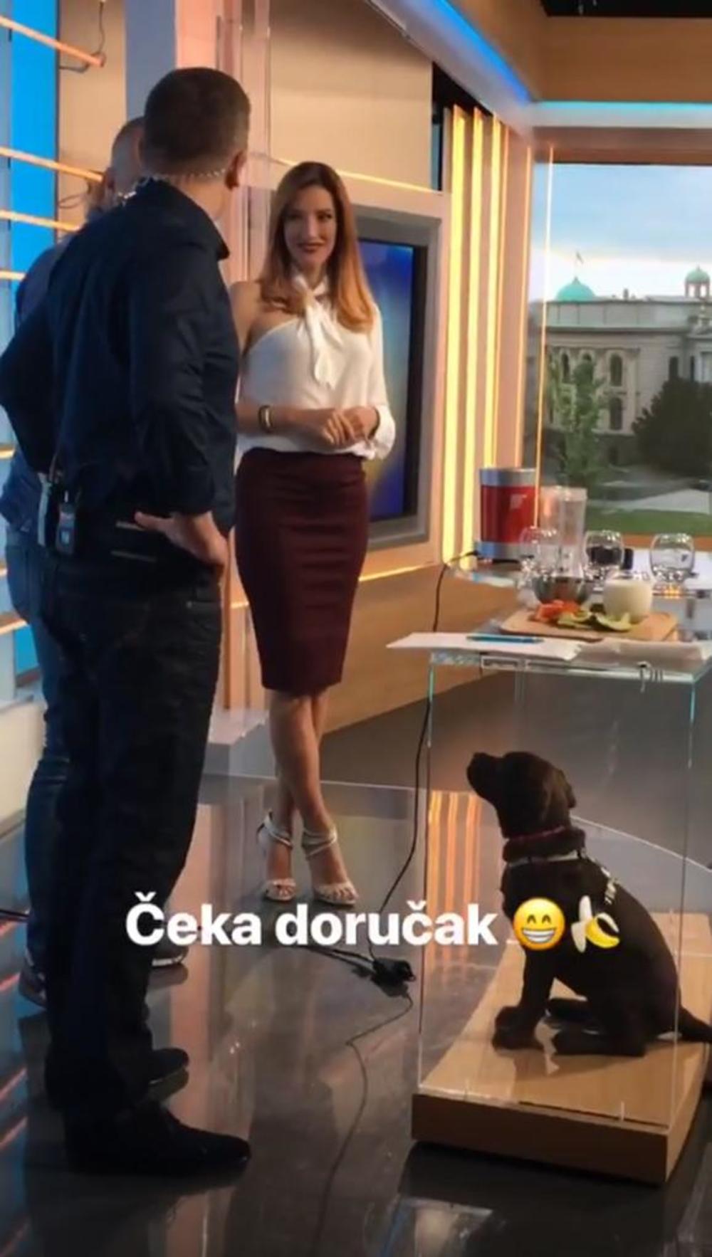 Štene koje živi u studiju jutros je tražilo hranu lajući  