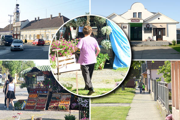 DA MOJU KOMŠINICU HRVATICU NEKO DIRA, BRANIO BIH JE SVOJIM TELOM! Espreso u Hrtkovcima, OVO ŠEŠELJU PORUČUJU LOKALNI SRBI!