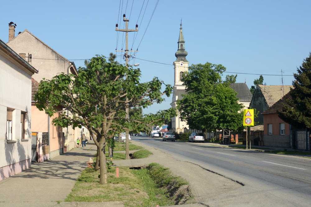 Hrtkovci 