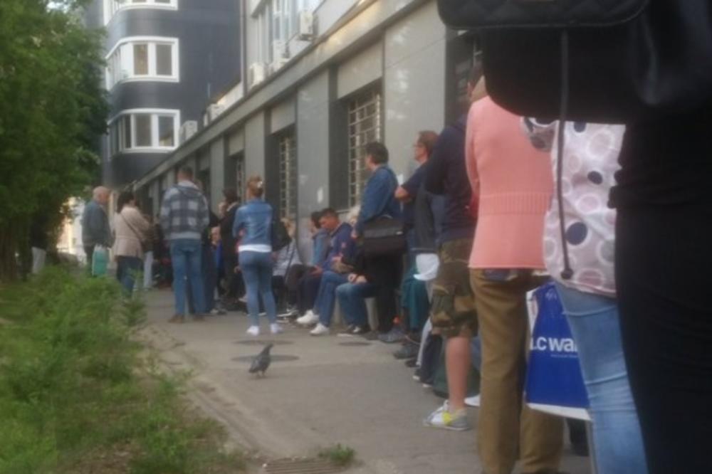 RED OD KOGA BOLE OČI: Slika iz Novog Sada pokazuje koliko je sistem u Srbiji BESMISLEN (FOTO)