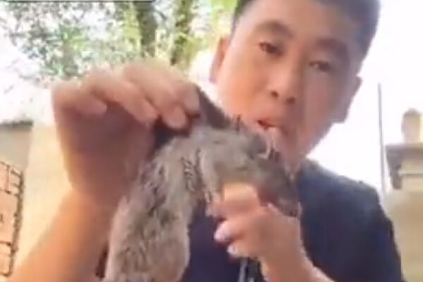 NIJE ZA ONE SA OSETLJIVIM ŽELUCEM: Kinez je zagrizao glavu PACOVA, a onda... (VIDEO)