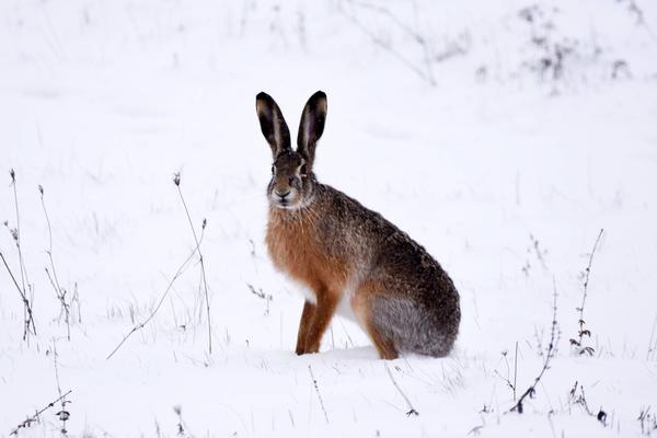 POSAO KOJI BRZO RASTE, A DONOSI VRHUNSKU ZARADU: Ovaj biznis postaje sve popularniji u Srbiji