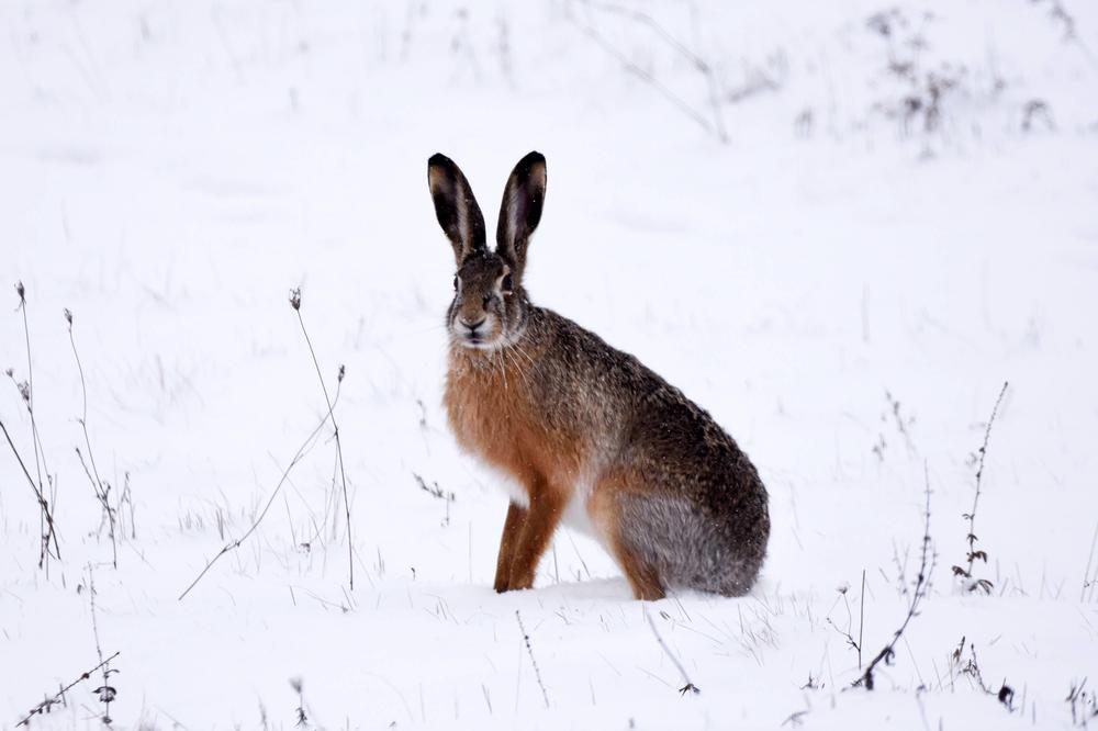 POSAO KOJI BRZO RASTE, A DONOSI VRHUNSKU ZARADU: Ovaj biznis postaje sve popularniji u Srbiji