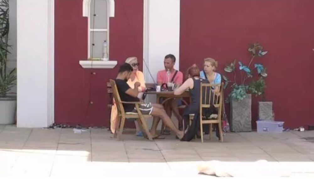 Milan je danas ogovarao Lunu sa pojedinim zadrugarima  