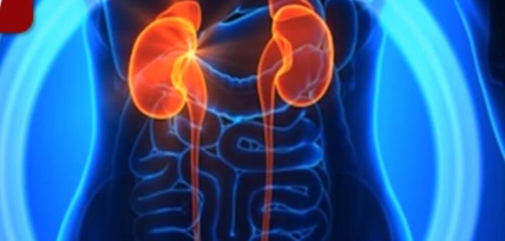 Bubrezi stare od 50. godine  