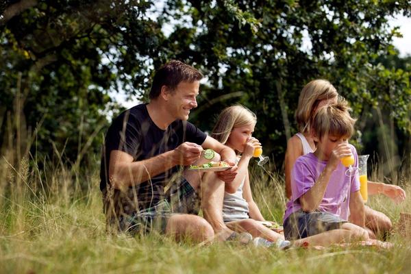 ŠTA KOMPLETNO PREČIŠĆAVA ORGANIZAM? Ovim su oduševljeni svi nutricionisti sveta
