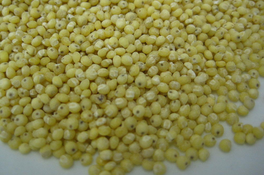 REŠITE SE KAMENA U BUBREGU ZA 10 DANA: Poznata doktorka je OTKRILA RECEPT koji će vas osloboditi ovog problema (RECEPT)